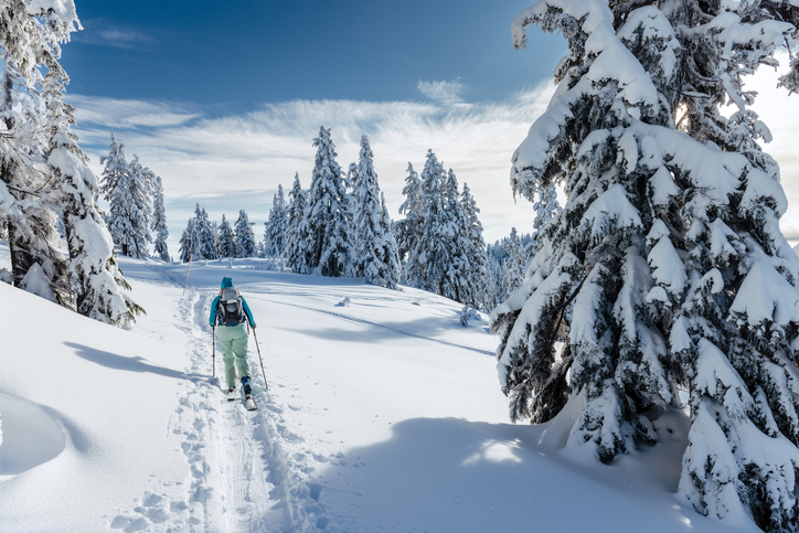 Return flights with Air New Zealand Brisbane to Vancouver