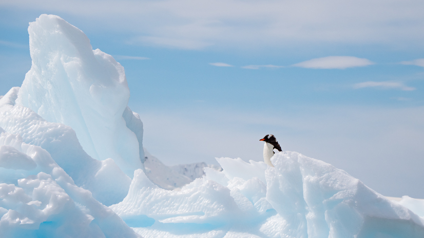 Iconic Antarctica - The Explorers Route